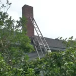 A ladder is propped against a chimney on a house roof, surrounded by bushes and trees.