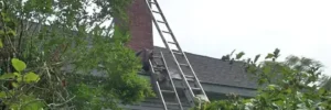 A ladder is propped against a chimney on a house roof, surrounded by bushes and trees.